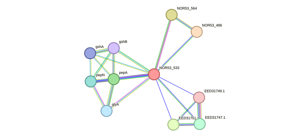 STRING protein interaction network