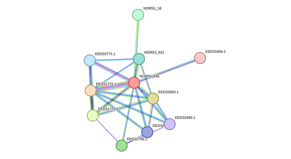 STRING protein interaction network