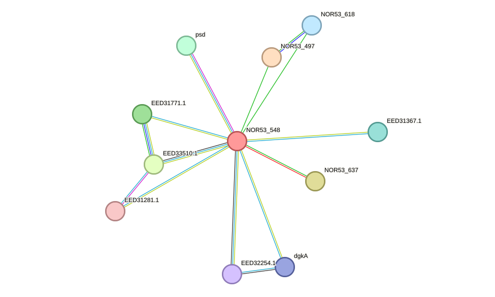STRING protein interaction network