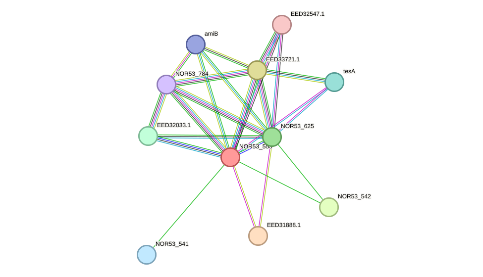 STRING protein interaction network