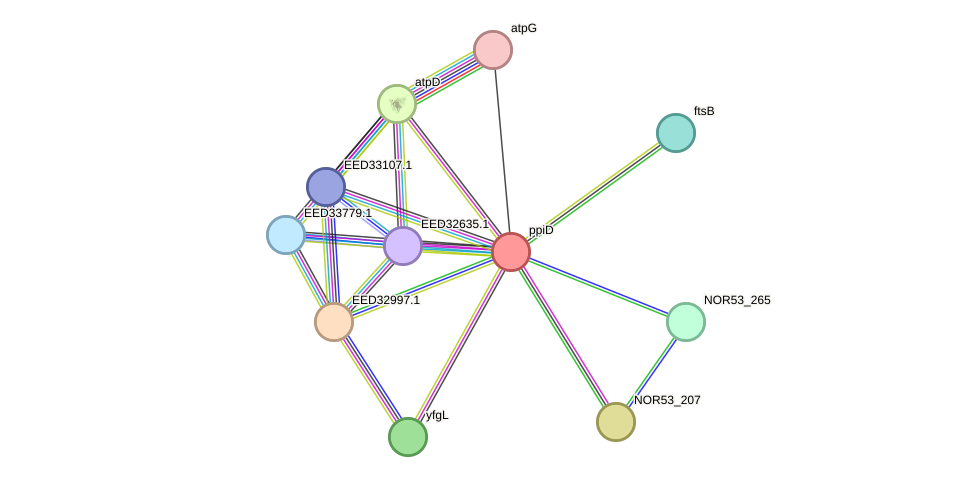 STRING protein interaction network