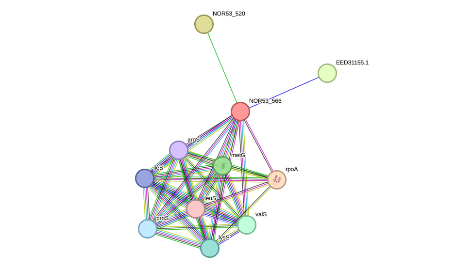 STRING protein interaction network