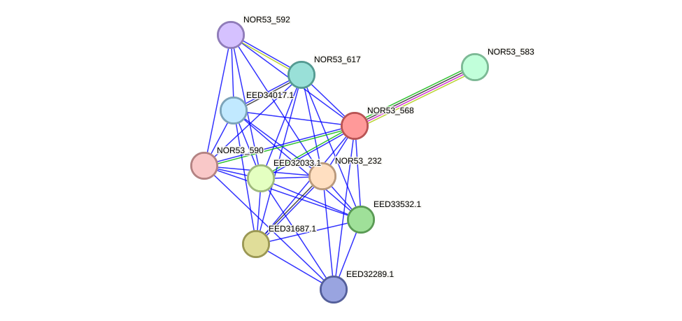 STRING protein interaction network