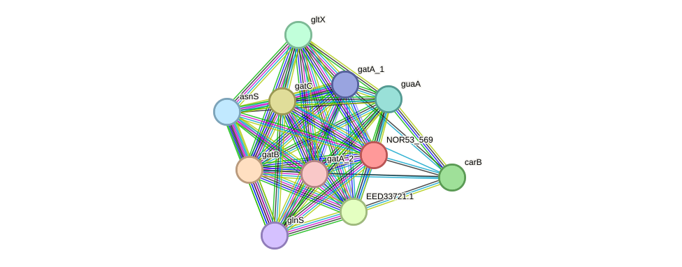 STRING protein interaction network
