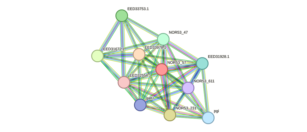 STRING protein interaction network