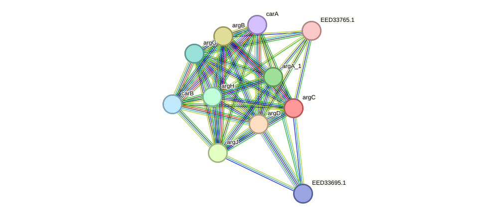 STRING protein interaction network