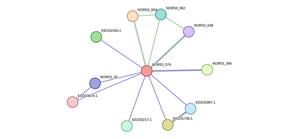 STRING protein interaction network