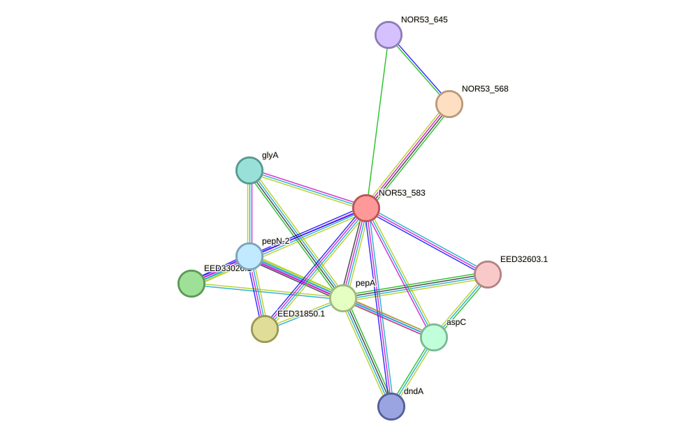 STRING protein interaction network