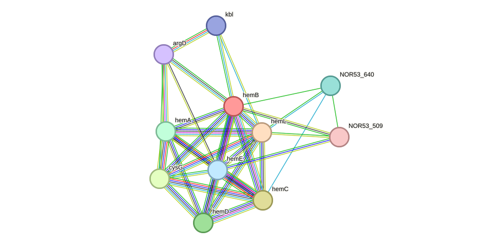 STRING protein interaction network
