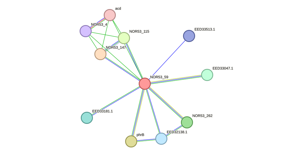 STRING protein interaction network