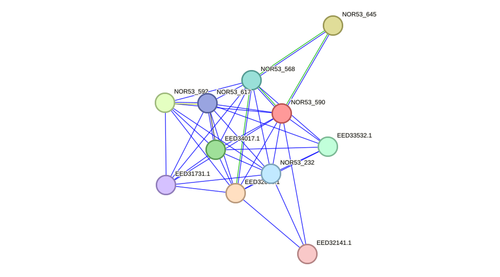 STRING protein interaction network
