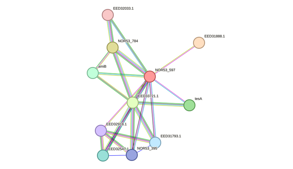 STRING protein interaction network
