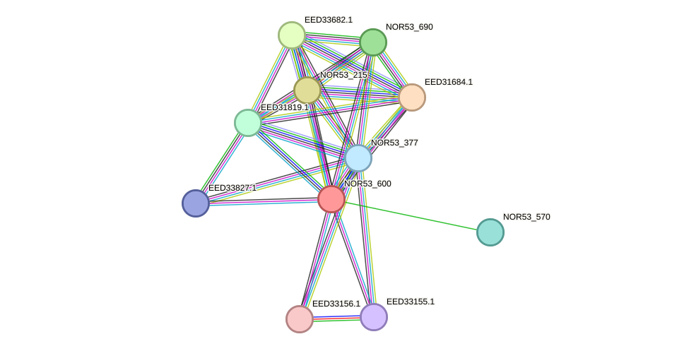 STRING protein interaction network