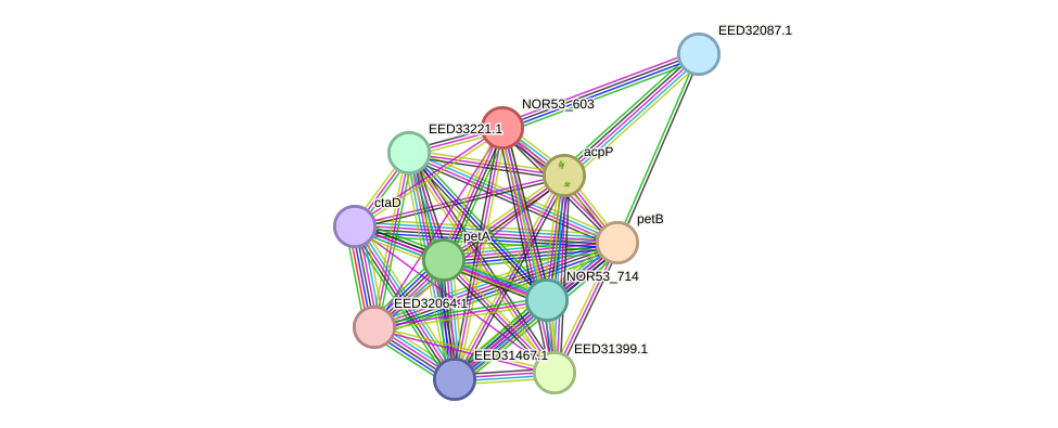 STRING protein interaction network