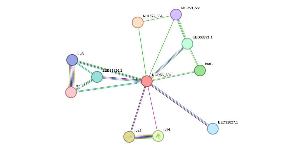 STRING protein interaction network