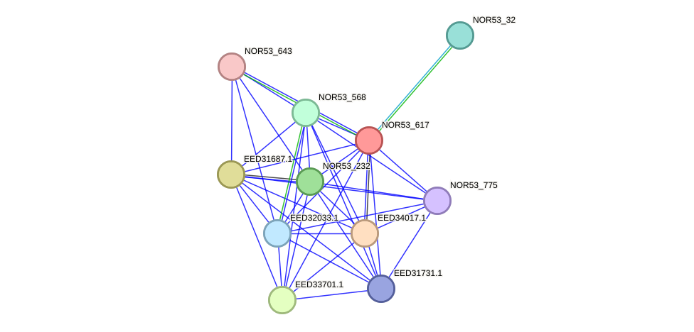 STRING protein interaction network