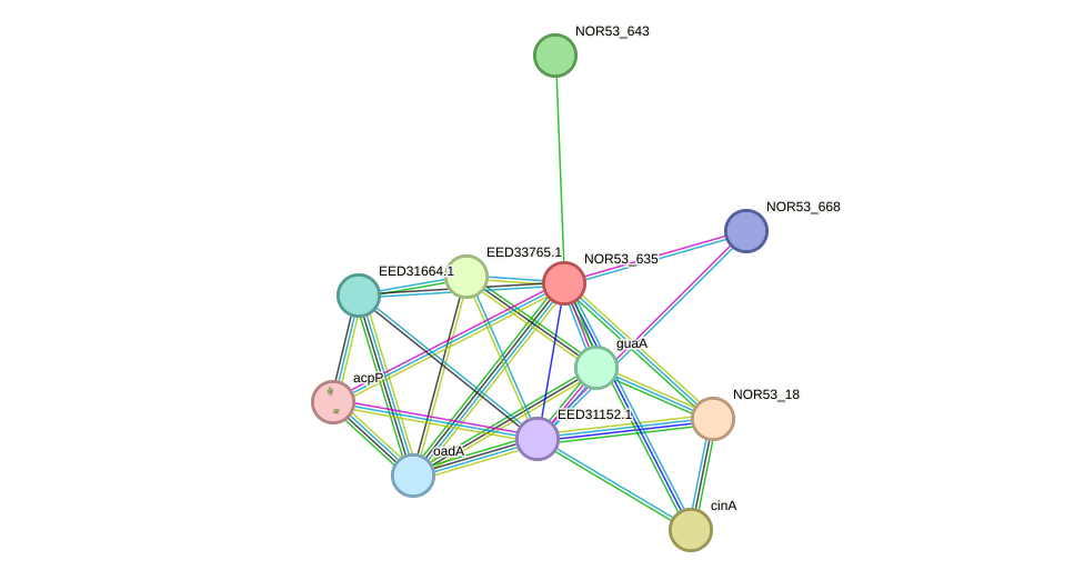 STRING protein interaction network