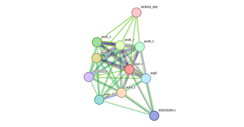 STRING protein interaction network