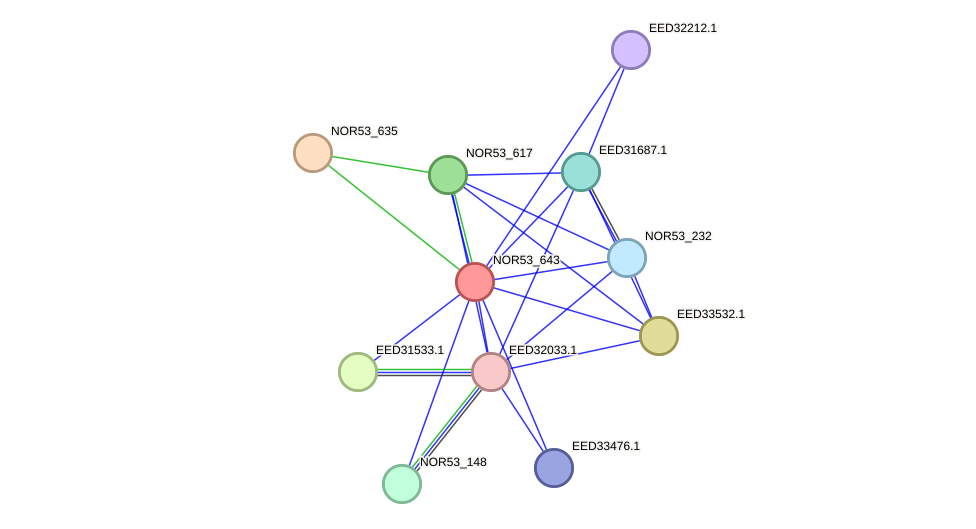 STRING protein interaction network