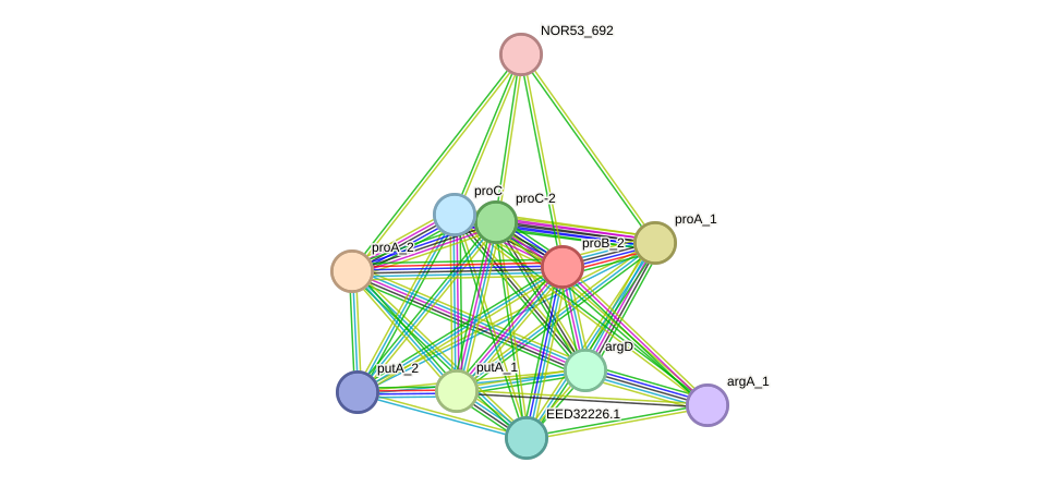 STRING protein interaction network