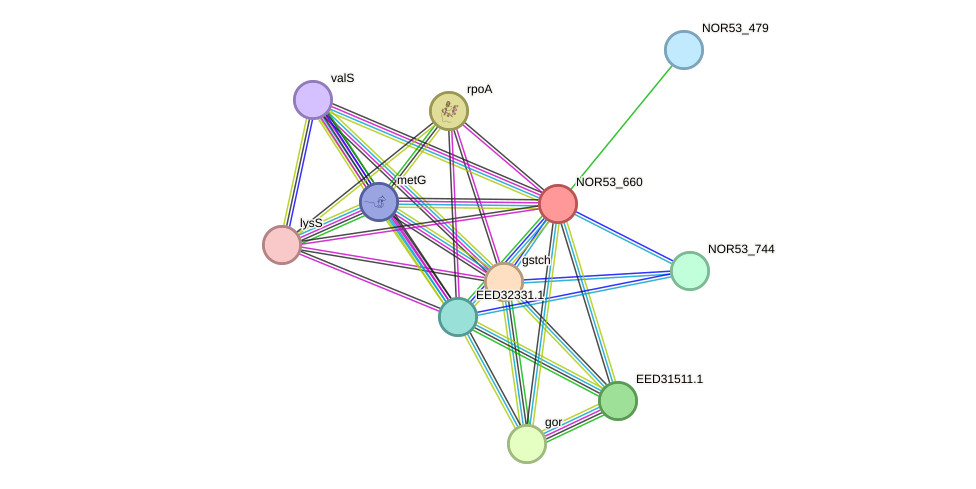 STRING protein interaction network