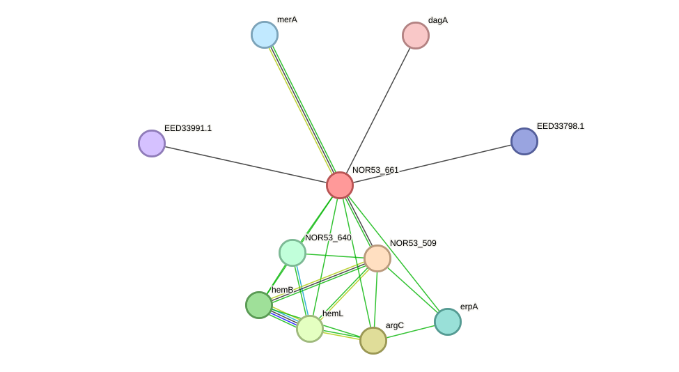 STRING protein interaction network