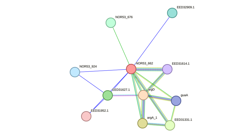 STRING protein interaction network
