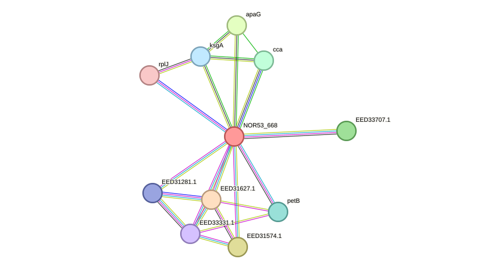 STRING protein interaction network