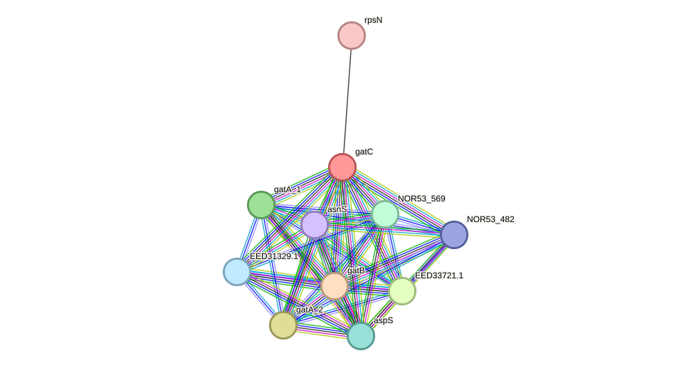 STRING protein interaction network