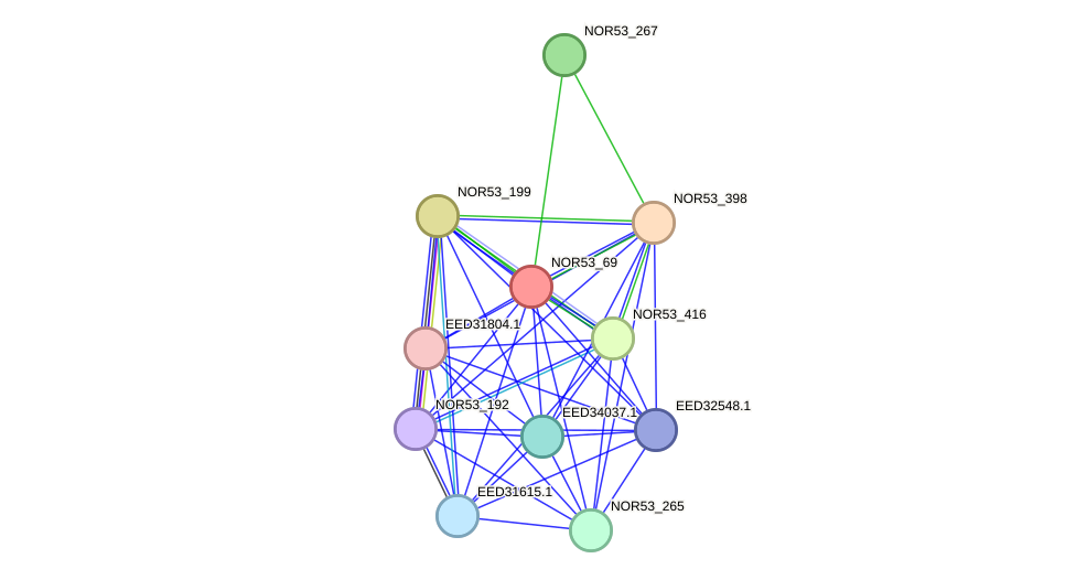STRING protein interaction network