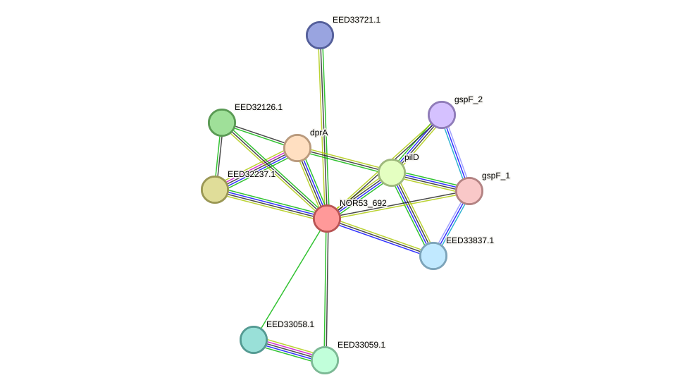 STRING protein interaction network