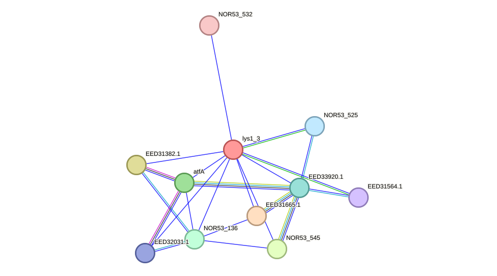 STRING protein interaction network