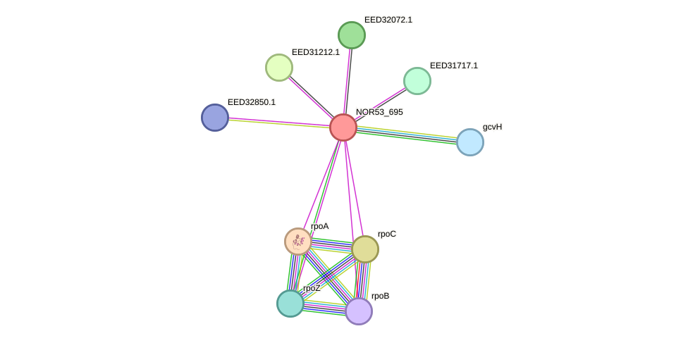 STRING protein interaction network