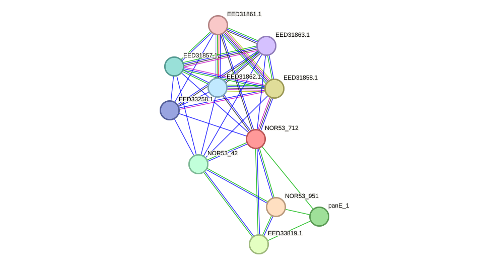 STRING protein interaction network