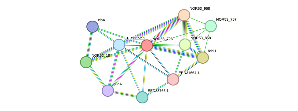 STRING protein interaction network