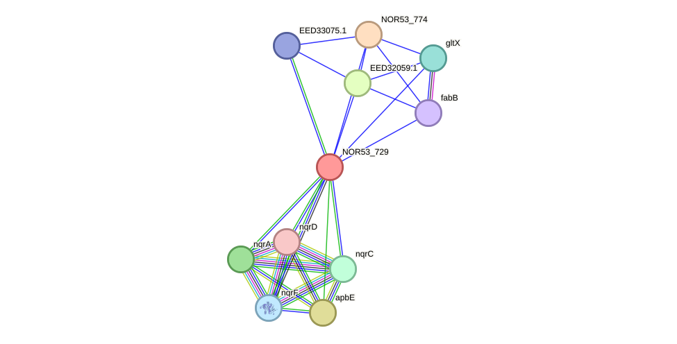 STRING protein interaction network