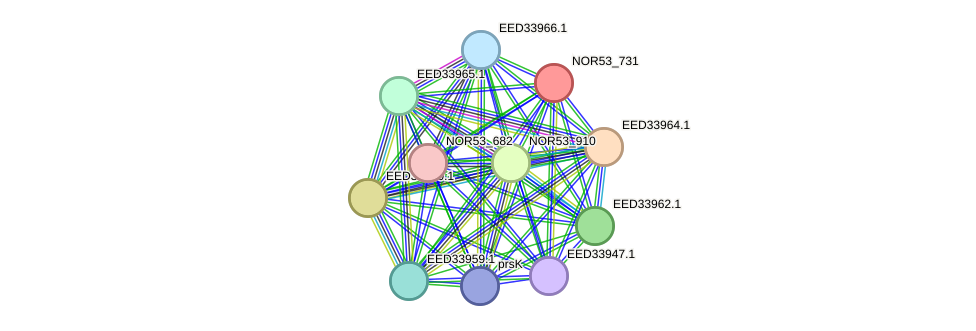 STRING protein interaction network