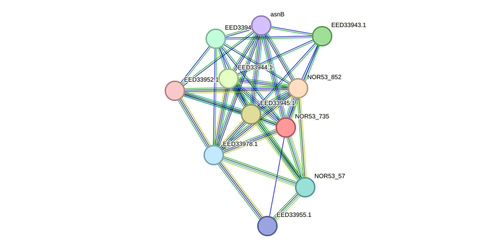 STRING protein interaction network
