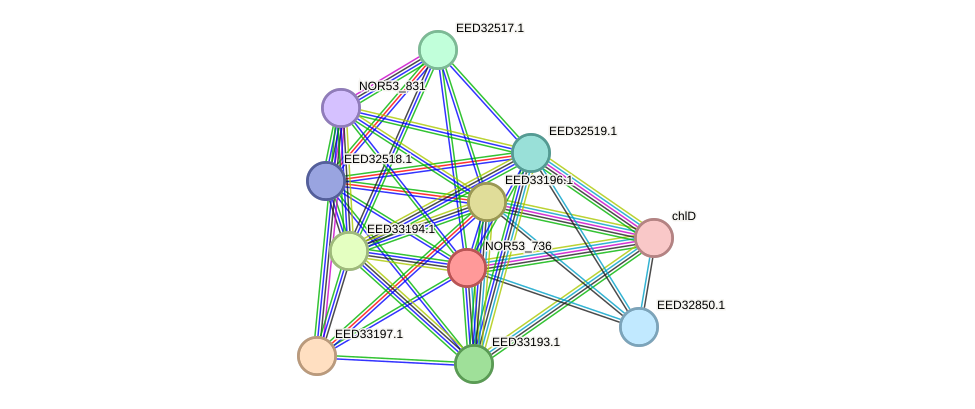 STRING protein interaction network