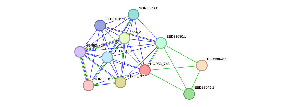 STRING protein interaction network