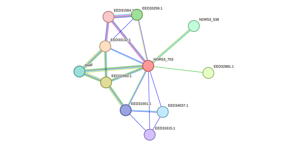 STRING protein interaction network