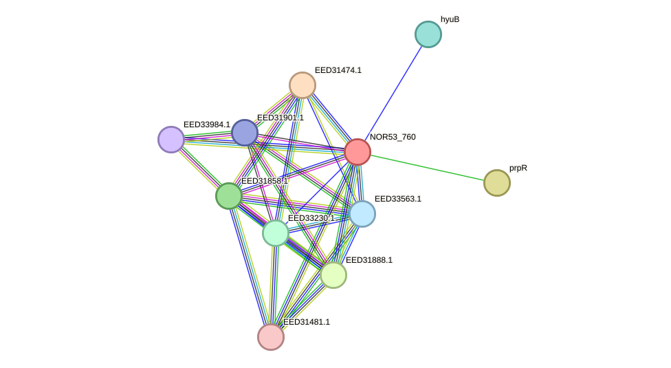 STRING protein interaction network