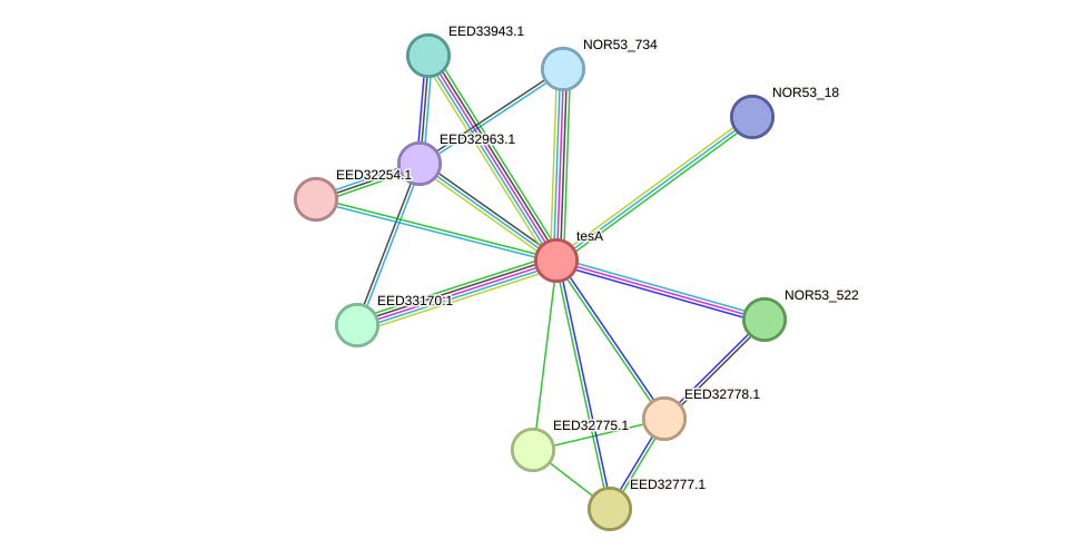 STRING protein interaction network