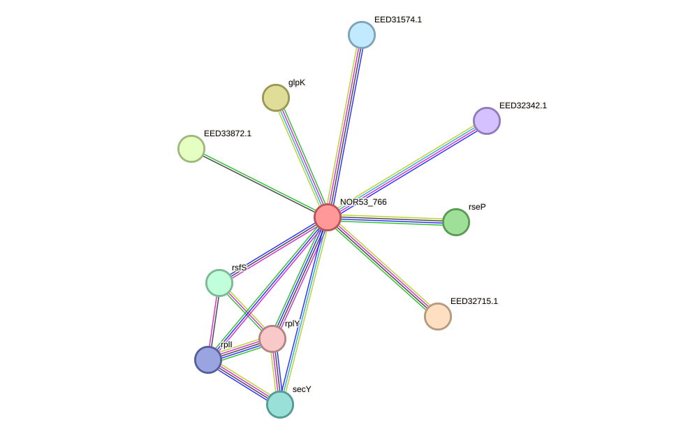 STRING protein interaction network