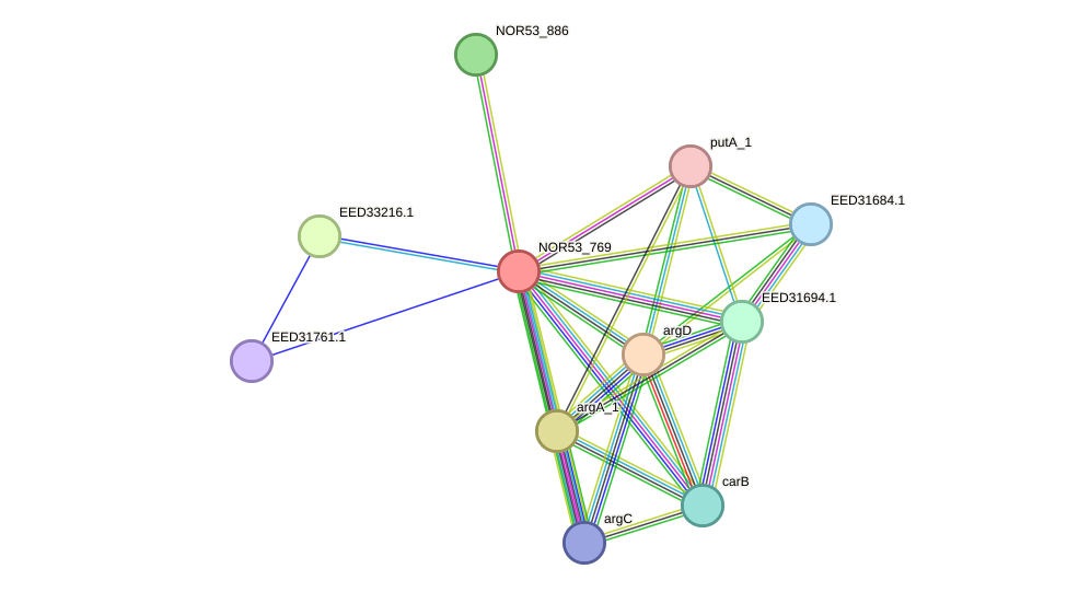 STRING protein interaction network