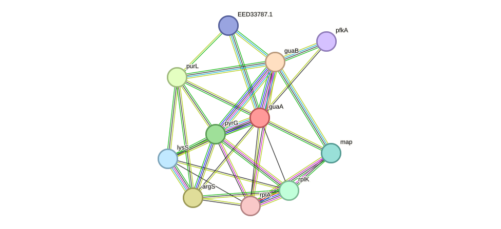 STRING protein interaction network