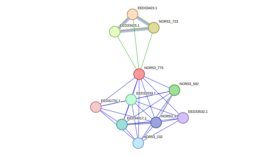 STRING protein interaction network