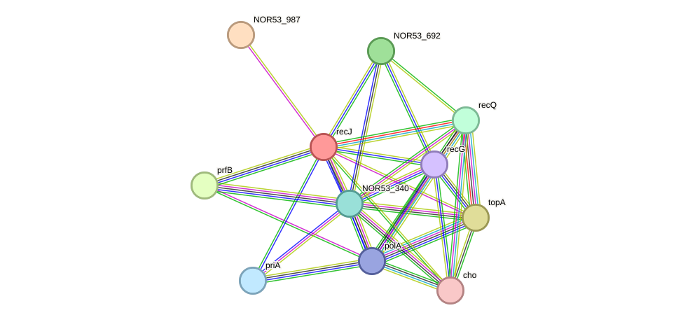 STRING protein interaction network