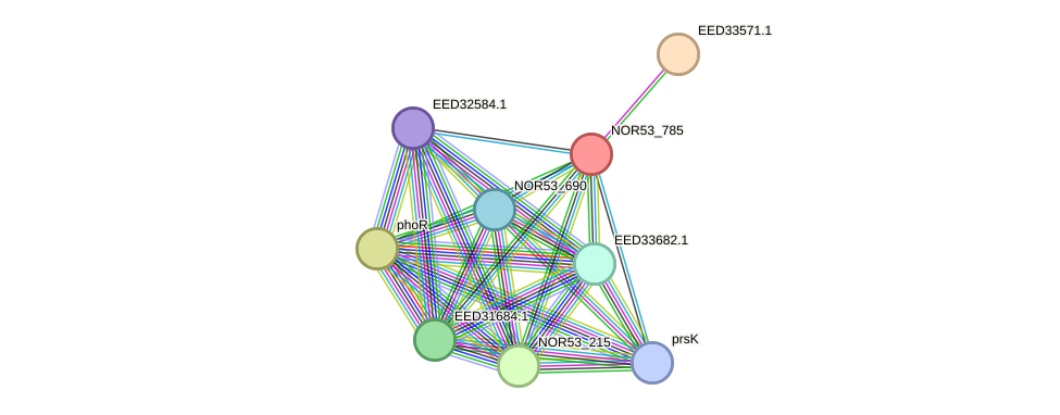 STRING protein interaction network