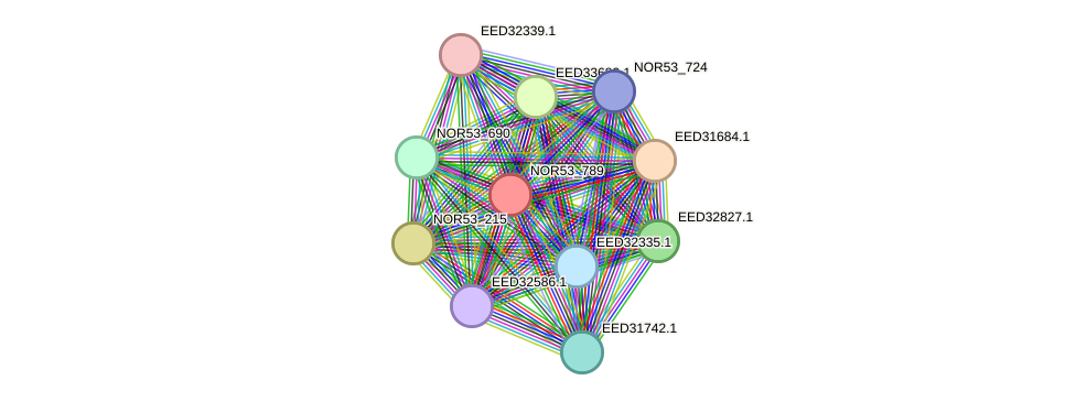 STRING protein interaction network